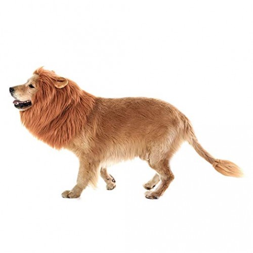 halloween lion dog costume