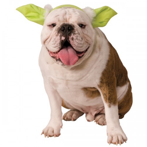 halloween star wars Yoda Dog Costume