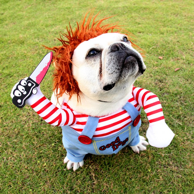 Chucky Doll Halloween Costume For Dogs - chucky deadly doll halloween dog costume