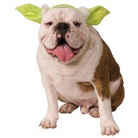 halloween star wars Yoda Dog Costume