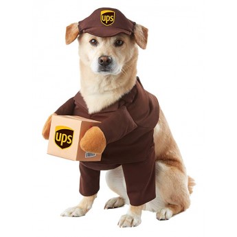 halloween ups dog costume