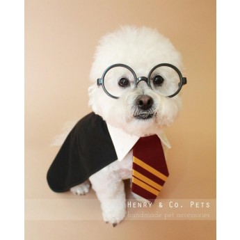 harry potter dog halloween costume