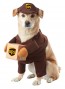 halloween ups dog costume