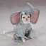 halloween dog elephant costume