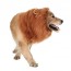 halloween lion dog costume wholesale