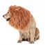 hot halloween lion dog costume in 2020