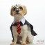harry potter dog outift